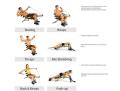 Six Pack Care ABS Builder Exercise Bench Sit Up Gym Fitness Machine Slimming Fitness Pump Toner Six Pack Biceps Push up Home Gym Chest Arms Shoulders Legs Workout Training Machine Abcare Ab Exerciser with. 