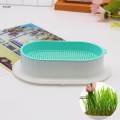 Tray Catnip Cultivation Box Wheatgrass Grower Detachable Pet Cats Grass Growing Cats for Microgreens Home. 