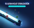 T5 8watt 254nm Ultraviolet light, UV light, Germicidal tube. Complete fitting.Floresent Ultra-violet Germicidal Light Lamp 220V for Hospitals & medical use.. 