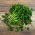 Parsley Herb seeds. 