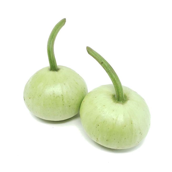 Seeds%20vegetable%20Bottle%20gourd%20round%20(kaduu%20gool%20)%20summer%20vegetable%20seeds%20-%20Image%202