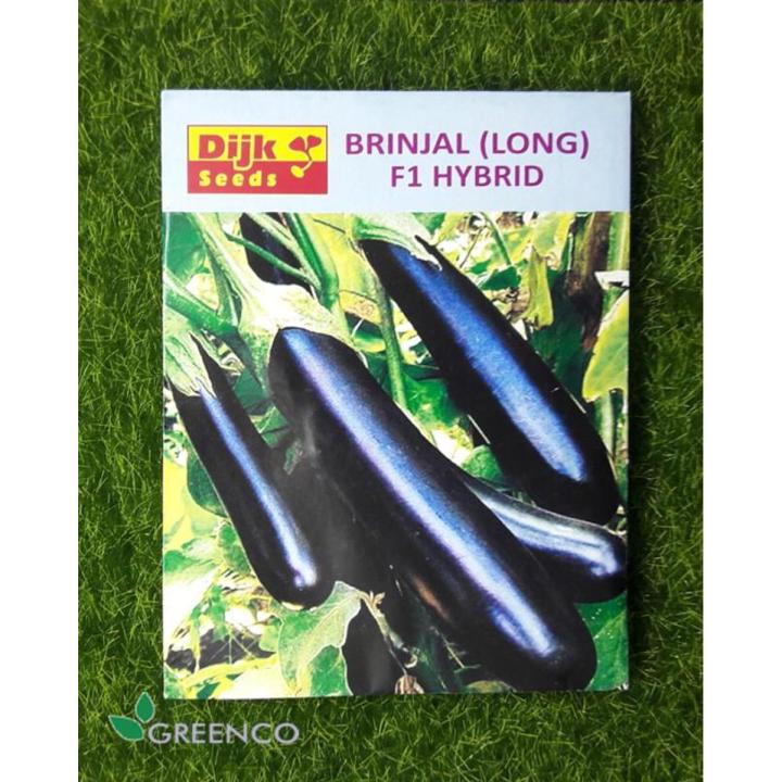 Pack of 30+  High Quality Hybrid F1 Bringal Seeds Ø¨ÛŒÚ¯Ù† vegetable Seeds