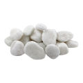 White Medium Pebbles/ Stones for Garden and Aquarium  1 kg pack. 