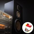 CT14 Micro-Type 4.2 Stereo Bluetooth Power Amplifier Board Module 3.7V 5VF 5W+5W Mini with Charging Port for Sound Box. 