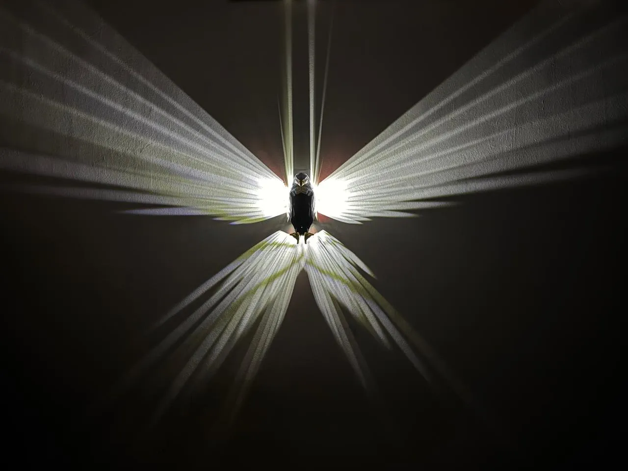 Eagle 3D Ambient Wall LED Light