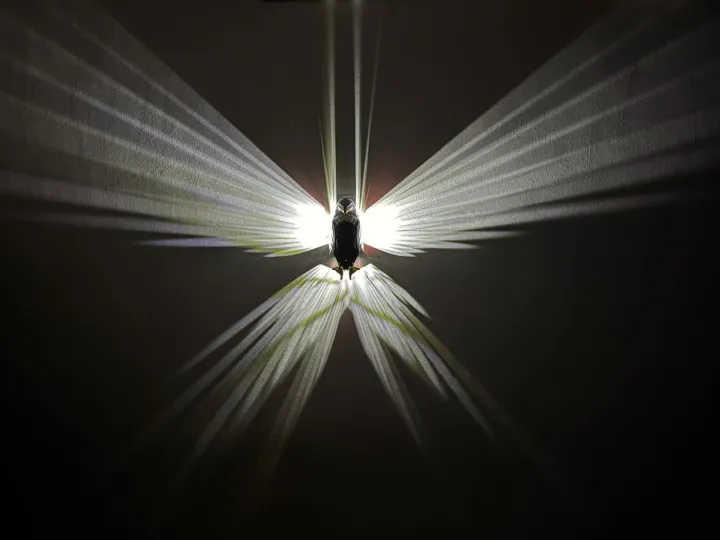 New%20Imported%20Eagle%20Wall%20Light%20Magnetic%20Led%20Mounted%20Eagle%20Lamp%20in%20pakistan%20-%20Image%203