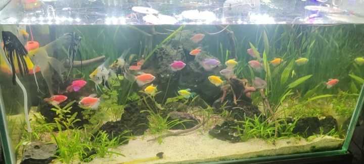 Beige%20sand%20(skin%20sand)%20for%20Aquarium,%20live%20plants,%20fish,%20freshwater%20tank%20and%20resin%20art%20or%20garden%20decoration%20-%20Image%203