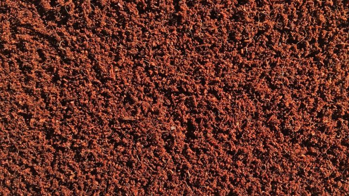 Coco%20Peat%20Block%20-%205%20Kg%20-%20Organic%20Soil%20Substitute%20for%20Garden,%20Pots,%20Planters.Garden%20soil/fertilizer/cocopeat/plants/seeds/coconut%20husk/cocopeat%201%20Kg%20-%20Image%205