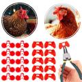 2 PCs Plastic Glasses LARGE For Hen Eyes Rooster Avoid Hen Pecking One Other Chickens Agricultural Equipment, Red. 