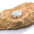High Quality Natural irani White sulemani aqeeq stone For Ring | Fancy Beautiful Real Gemstone Agate. 