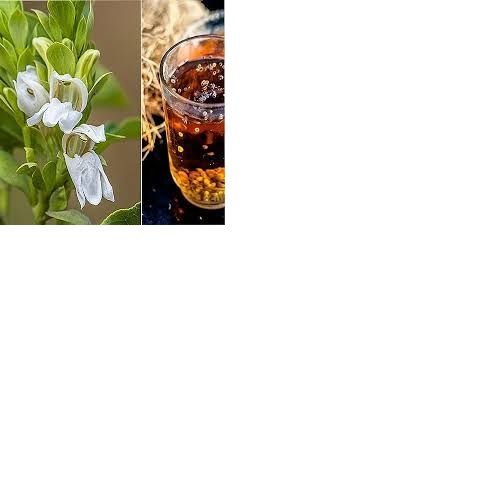 BERG%20E%20AROOSA%20POWDER%7C100:GRAM%7CBANSA%20POWDER%20-%20MALABAR%20NUT-%20VASA%20-%20ADUSA%20-%20ADHATODA%20VASICA%20-%20Image%202