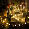 Led Star Fairy lights Battery Operated 1 String 20 Stars Each Star Size 1 Inches Warm White. 