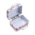 Fashion Makeup Tool Steel Suitcase Eyelash Package Mink Lash Tray False Eyelashes Box. 