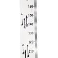 XINQIUS Children Kids Growth Chart Height Ruler Wall Sticker Ruler Growth Chart Wall Decal Height Measurement Sticker Decorative Gift. 