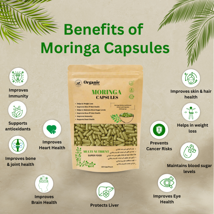 Moringa%20Capsules%20120cap%20-%20500mg%20Moringa%20Oleifera%20Capsules%20,%20Tablets%20,%20Pills%20,%20Weight%20Loss%20,%20Healthy%20Life%20%7C%20Pure,%20Organic,%20Superfood%20%7C%20Boost%20Immunity,%20Energy%20&%20Nutrition,%20Multivitamins%20%7C%20Non-GMO%20-%20Image%203