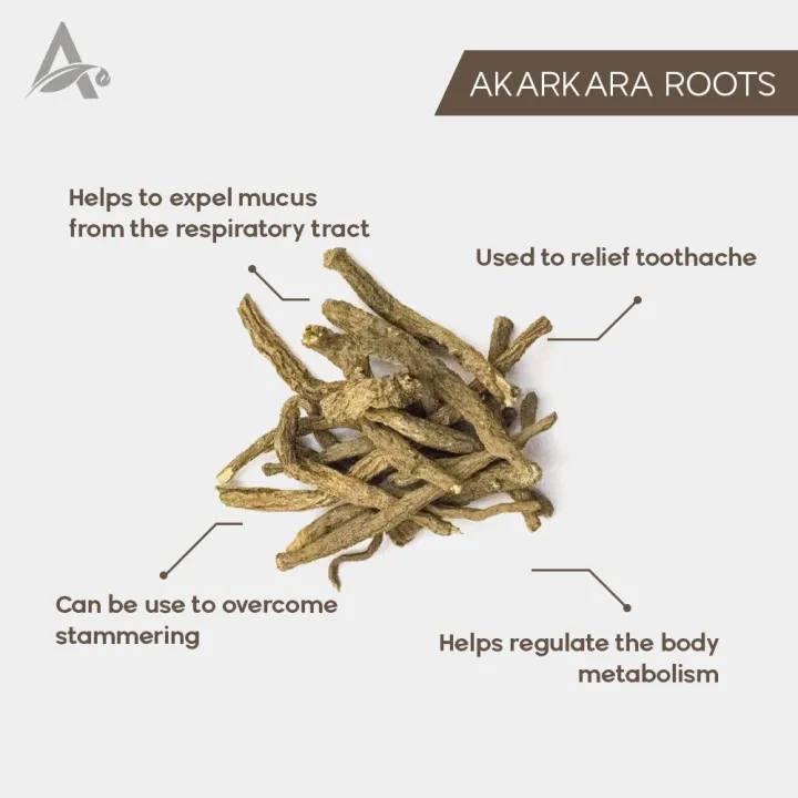 AKARKARA%20IRANI%20%E2%80%93%20AKARKARAH%20IRANI%20%E2%80%93%20ANACYCLUS%20PYRETHRUM%20%E2%80%93%20PELLITORY%20ROOTS%20-%20Image%202