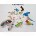 Different Kinds Simulated Bird Animals Models Toys Set Artificial Multi-Color Birds Kids Educational. 
