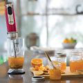 Oster Hand Blender, 550W 5-in-1 Multi-Purpose Smart Hand Blender with  Stainless Steel Blades, Chopper, Whisk,  Mixing Beaker for Puree Infant Food, Smoothies, Sauces, Soups Best Quality. 