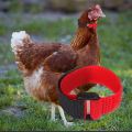 2Pcs Chicken Collar Anti Crow Noise Free Rooster Belt Adjustable Buckle Poultry Supplies for Ducks. 