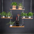 Pack of 10 Hanging Chain Metal for plants and other decoration. 