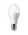 LED Bulb - 12 Watt. 