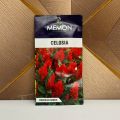 Celosia Flower Seeds - Red - Late Spring Through Fall - 10 to 25 Seeds. 