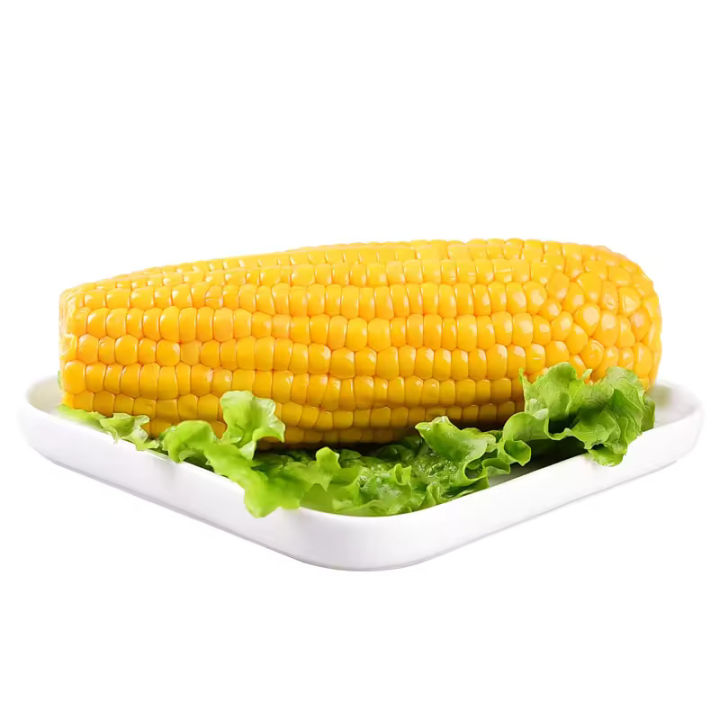 Sweet%20Corn%20Vacuum%20Packed-%20Imported%20Chinese%20Corn%20on%20the%20Cob%20-%20Image%203
