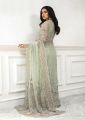 Fancy Net Saree For Women. 