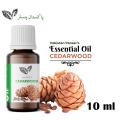 Cedarwood Aromatherapy Essential Oil - Pure & Natural– Undiluted. 