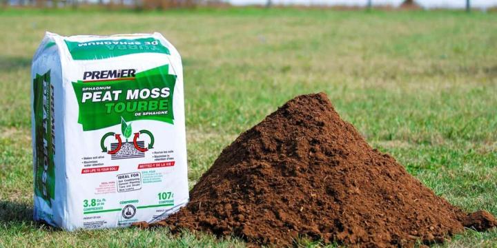 Professional%20Peat%20Moss%20250gram%20Imported%20-%20Image%202