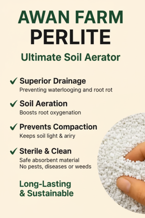 0.1%20%E2%80%93%205%20kg%20%7C%20Perlite%20for%20Soil%20&%20Plants%20%7C%20Lightweight%20Additive%20for%20Drainage,%20Aeration%20&%20Root%20Growth%20%7C%20Ideal%20for%20Pots,Seedlings,%20Succulents,%20Cuttings%20%7C%20Mix%20with%20Cocopeat,%20Compost,%20Vermicompost%20&%20Potting%20Mix%20%7C%20100g,%20200g,%20300g,%20400g,%20500g,%201kg,%202kg,%203kg,%205kg%20-%20Image%202