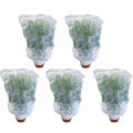 5 Packs Of Garden Plant Protection Nets with Rope, Tomato Protective Cover Garden Plant Isolation Bags for Vegetable. 