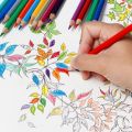FaberCastell's Classic Color set of 60pcs/100pcs color pencil. 