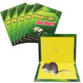 Pasban Super Glue Rat & Mouse Trap Boards - Heavy Duty Sticky Traps for Rodent Control - Dual Attraction & Powerful Effect for Catching Rats, Mice & Pests - Non-Toxic, Eco-Friendly & Harmless to Man - Indoor & Outdoor Pest Control Solution. 