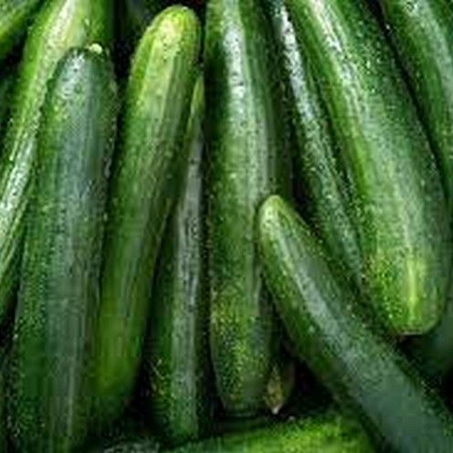 Cucumber seeds F1 (kheera) (vegetable seeds) BEST GARDENING SHOP -BY HK DEALER