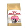 Persian Kitten- 400G. 