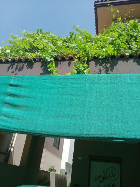 Green%20Shade%20Nets%20Quality%20Pure%20Nylon%20,%20Double%20Stitched+%20Pure%20Nawar%20and%20Metal%20Rings%20Installed%20(%20EAGLE%20TARPAL%20)%20For%20Outdoor%20Usage%20and%20Sun%20Protection.%20Reliable%20,%20Trusted%20,High%20Shade%20Lifespan%20and%20Durable.%20Usage%20Terrace%20,%20Balcony%20,%20Garage%20,%20Livestock%20cage%20etc%20-%20Image%207