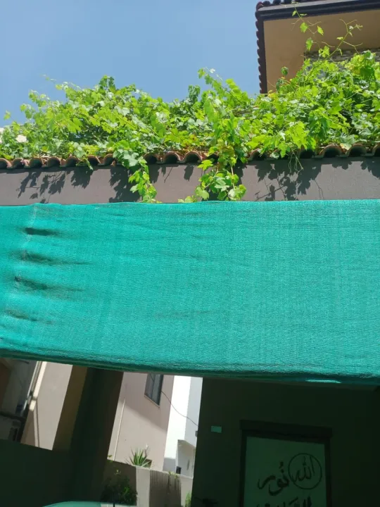 Green%20Shade%20Nets%20Quality%20Pure%20Nylon%20,%20Double%20Stitched+%20Pure%20Nawar%20and%20Metal%20Rings%20Installed%20(%20EAGLE%20TARPAL%20)%20For%20Outdoor%20Usage%20and%20Sun%20Protection.%20Reliable%20,%20Trusted%20,High%20Shade%20Lifespan%20and%20Durable.%20Usage%20Terrace%20,%20Balcony%20,%20Garage%20,%20Livestock%20cage%20etc%20-%20Image%207