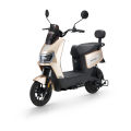 REVOO Y06 Electric Scooter or E-Bike. 