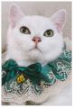 handmade cat collar. 