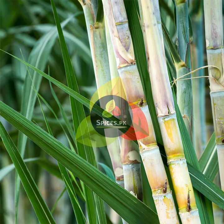 Organic%20Sugarcane%20Sugar%20(Brown%20Sugar)%20250g%20%E2%80%93%20Premium%20Quality%20Unrefined%20Cane%20Sugar%20for%20Baking,%20Cooking%20&%20Beverages%20-%20Image%206