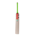 Gray Nicolls Cricket Bat for Hard Ball - Hard Ball Cricket Bat. 