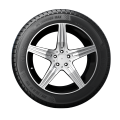 GTR General BG Thunder Max 205/55 R16. 