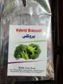 F-1 Hybrid Broccoli Seed for kitchen gardening. 