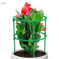Tomato Growing Cage Garden Plant Support Stakes for Potted Plants Vines Pots 15cm. 