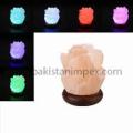 Salt Lamps USB. 