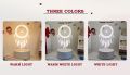 Hot Sale New 3 Color Ferris Wheel Light LED Bedroom Bedside Lamp Acrylic Creative Festival Gift Night Light Table Lamp LED Desk Lamp Creative Gift Bedside Lamp Small Gift. 