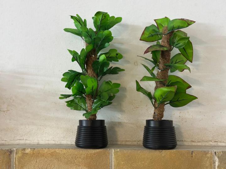 Breezy%20Tall%20Fiddle%20Leaf%20Fig%20Tree%20in%20Pot%20-%20Decorative%20Indoor%20Plant%20-%20Image%205