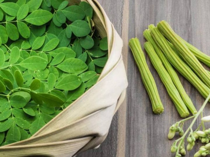 Sohanjna%20K%20Beech%20%7C%20Moringa%20Seeds%20Large%20%7C%20Organic%20&%20Fresh%20Garden%20Seeds%20-%20Image%206