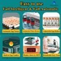 15 Eggs Weiqian Intelligent Incubator Dual Power Supply AC / DC. 